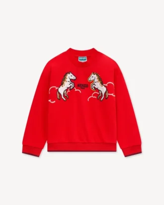 Broderad sweatshirt i frotté med motivet ”Lunar New Year”