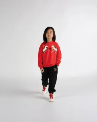 Broderad sweatshirt i frotté med motivet ”Lunar New Year”